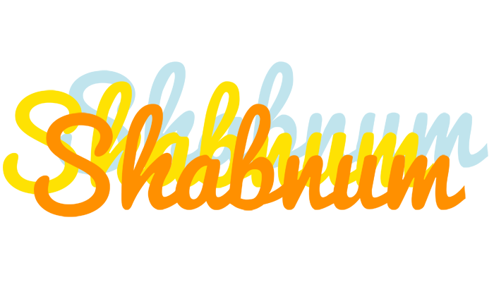 Shabnum energy logo