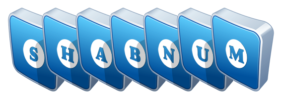 Shabnum flippy logo