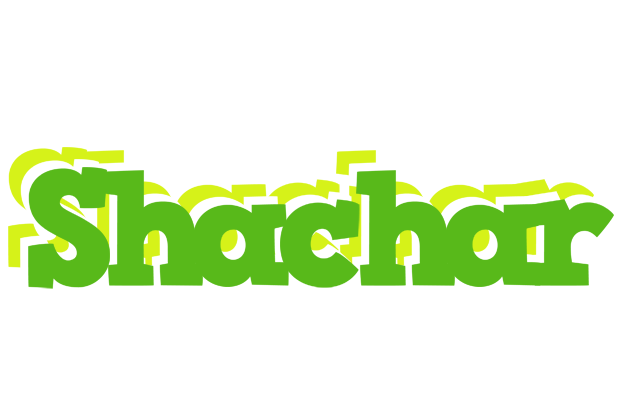 Shachar picnic logo