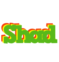 Shad crocodile logo