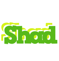 Shad picnic logo