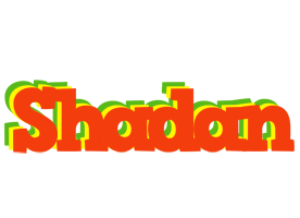 Shadan bbq logo