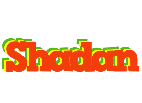Shadan bbq logo