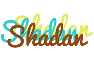 Shadan cupcake logo