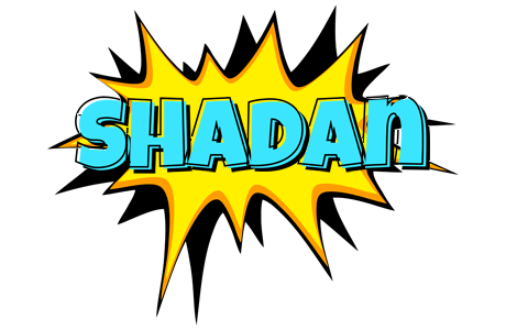 Shadan indycar logo