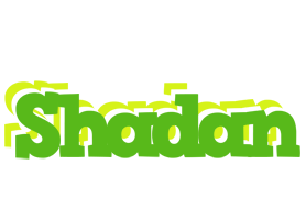 Shadan picnic logo