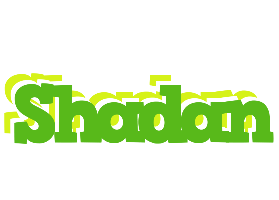Shadan picnic logo
