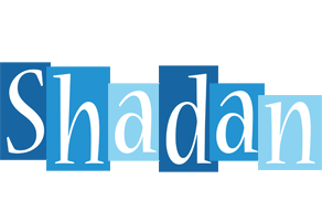 Shadan winter logo