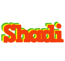 Shadi bbq logo
