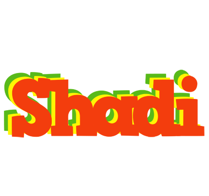 Shadi bbq logo
