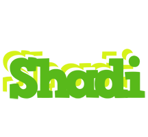 Shadi picnic logo