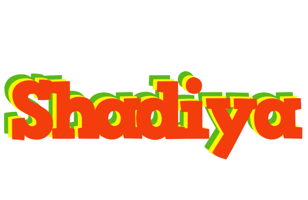 Shadiya bbq logo