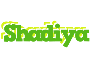 Shadiya picnic logo