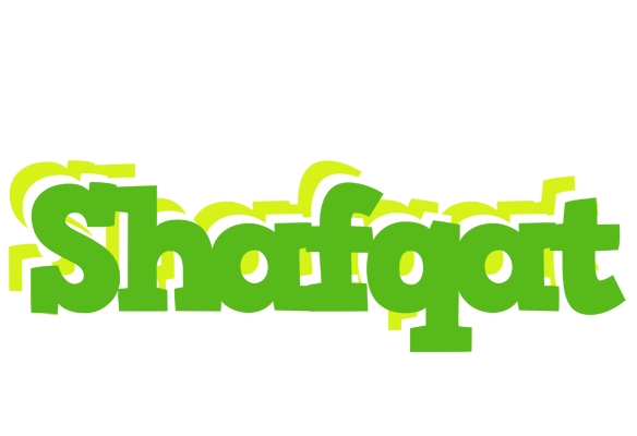 Shafqat picnic logo