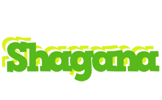 Shagana picnic logo
