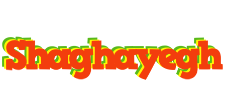 Shaghayegh bbq logo