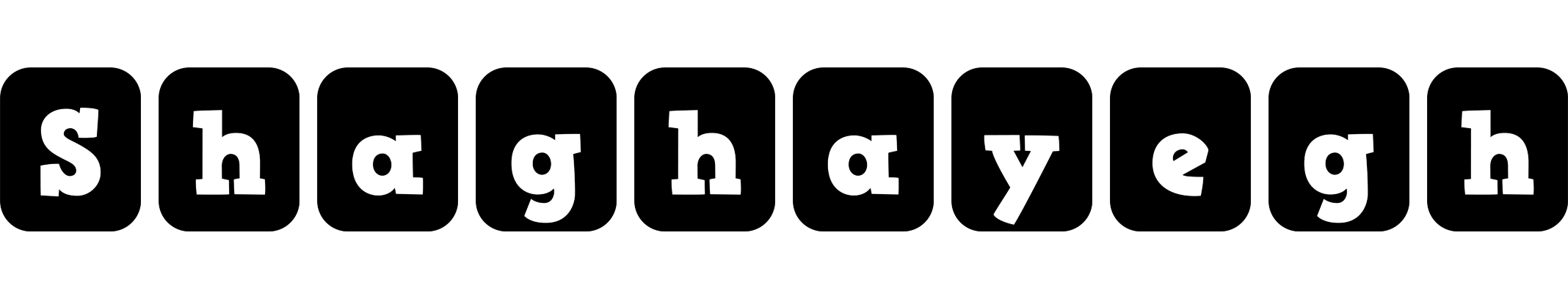 Shaghayegh box logo