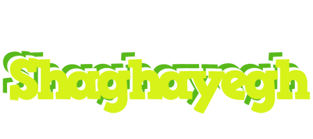 Shaghayegh citrus logo