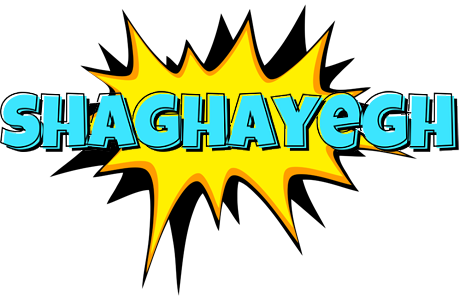 Shaghayegh indycar logo