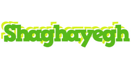 Shaghayegh picnic logo