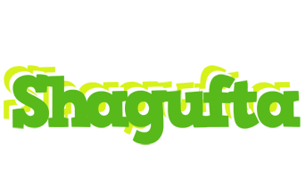 Shagufta picnic logo