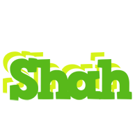 Shah picnic logo