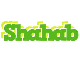 Shahab picnic logo