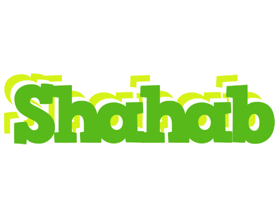 Shahab picnic logo