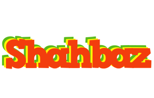 Shahbaz bbq logo