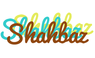 Shahbaz cupcake logo