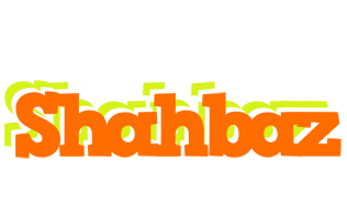 Shahbaz healthy logo