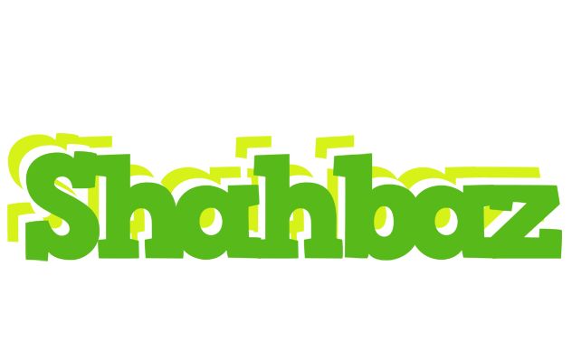 Shahbaz picnic logo