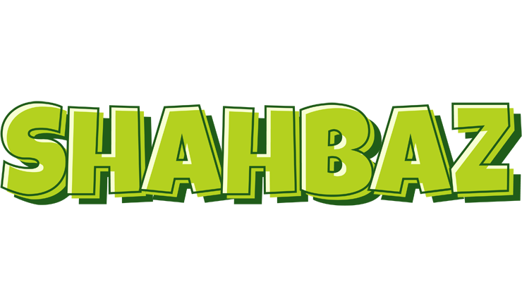 Shahbaz summer logo