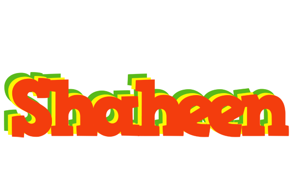 Shaheen bbq logo