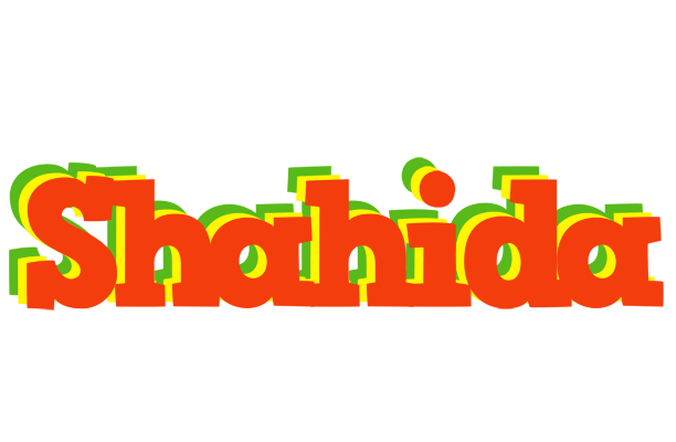 Shahida bbq logo