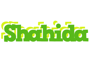 Shahida picnic logo