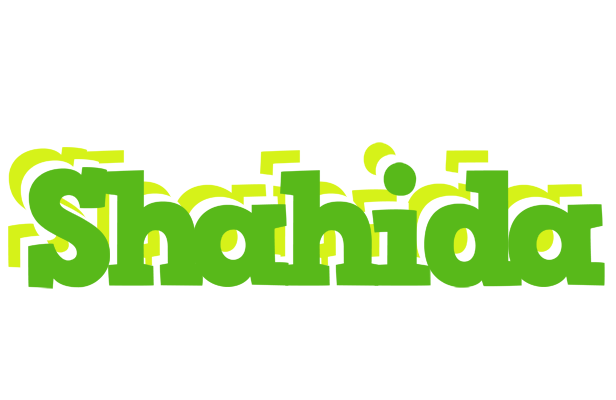 Shahida picnic logo