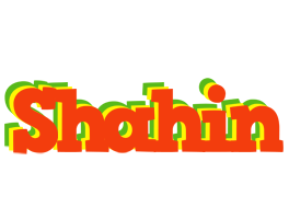 Shahin bbq logo