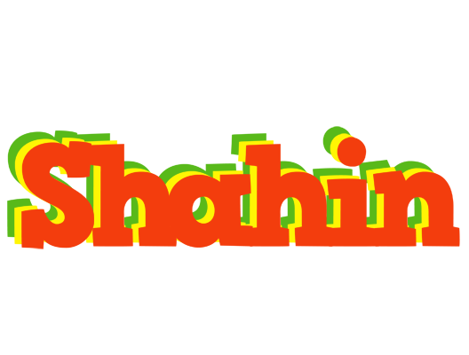 Shahin bbq logo