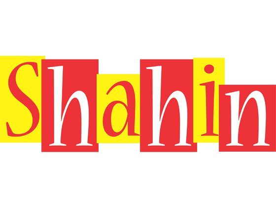 Shahin errors logo