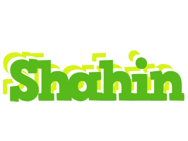 Shahin picnic logo