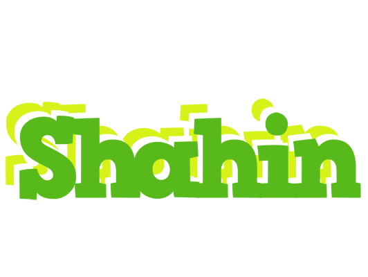 Shahin picnic logo
