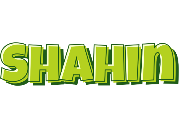 Shahin summer logo