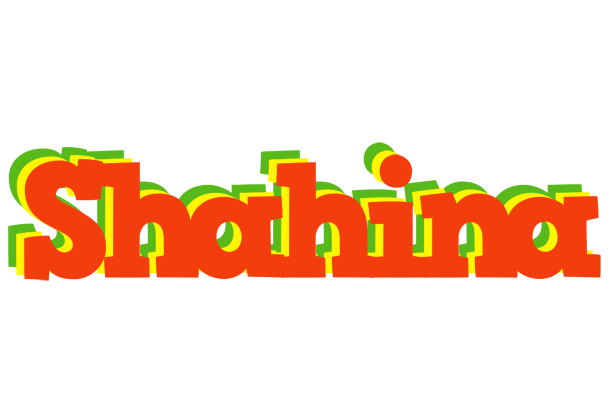 Shahina bbq logo