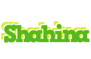 Shahina picnic logo