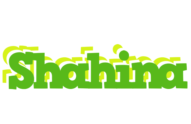 Shahina picnic logo