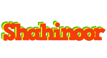 Shahinoor bbq logo