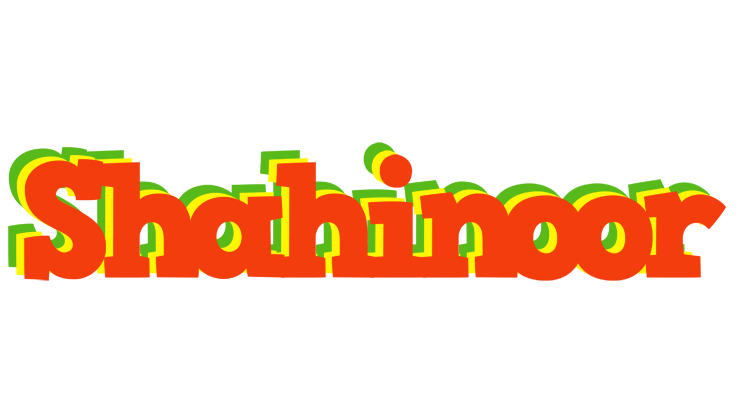 Shahinoor bbq logo