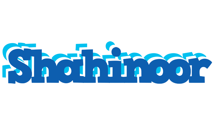 Shahinoor business logo
