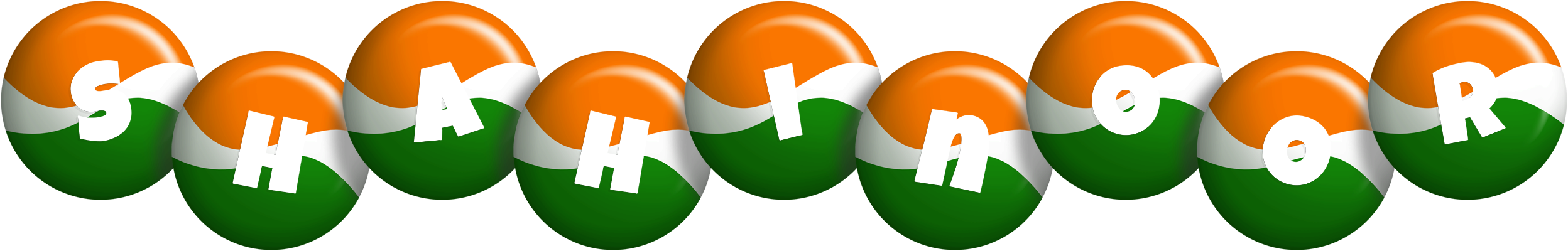 Shahinoor india logo